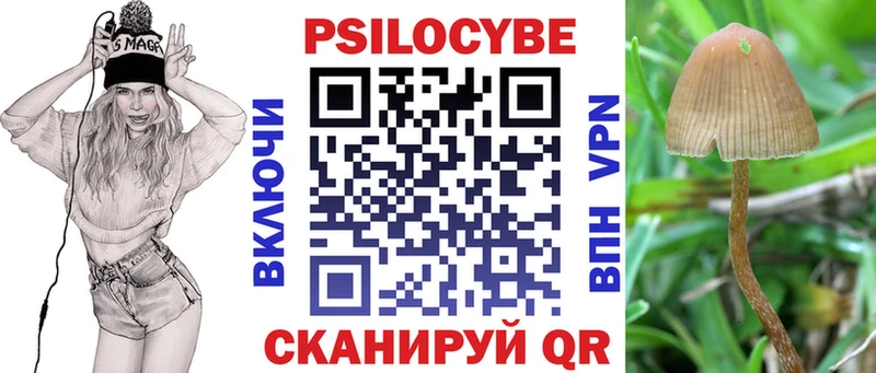 Галлюциногенные грибы Psilocybine cubensis  дарнет шоп  Кулебаки 