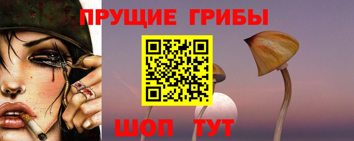 Галлюциногенные грибы Psilocybine cubensis  Вход с VPN  Кулебаки  Псилоцибиновые грибы прущие грибы 